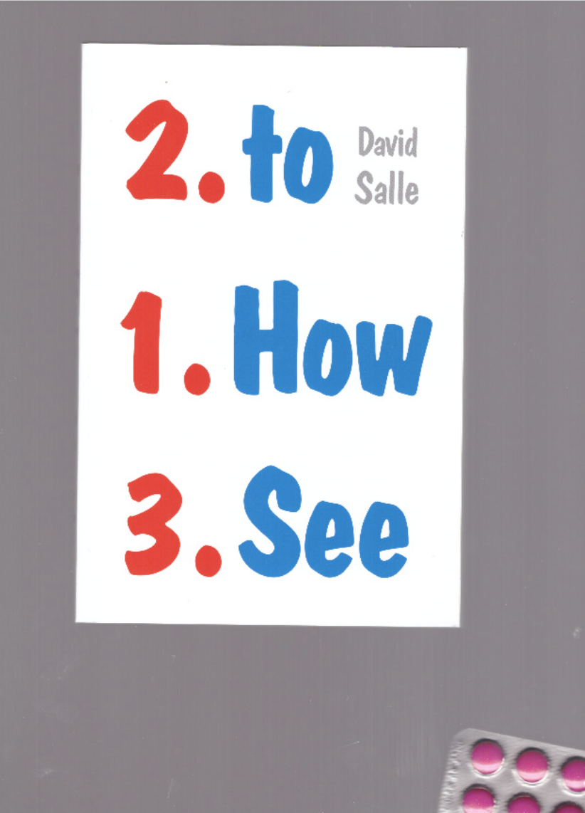 SALLE, David - How to See: Looking, Talking, and Thinking